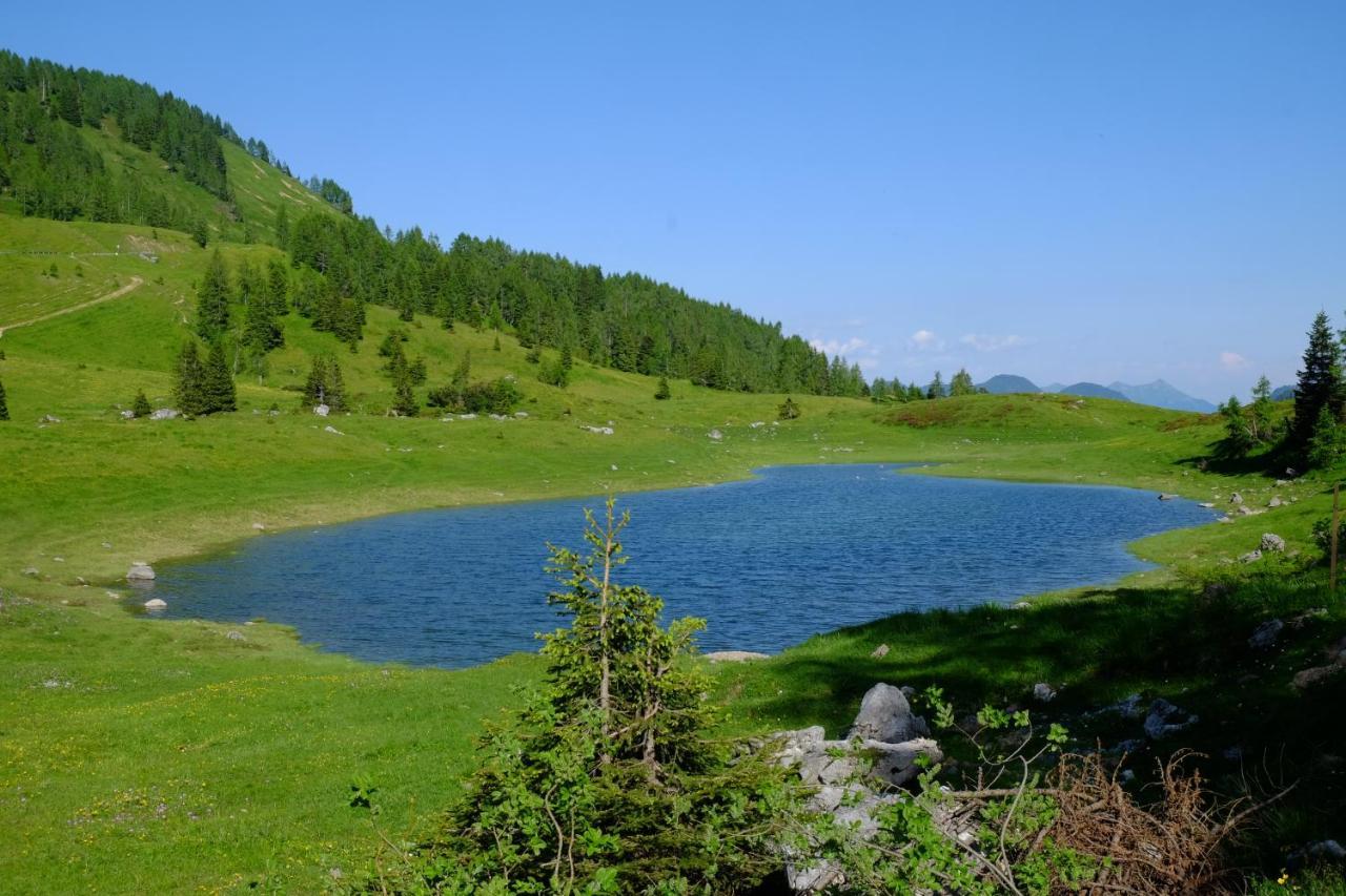 Hotel Casa Della Rosa Dolomites Experience Vigo di Cadore Exteriér fotografie